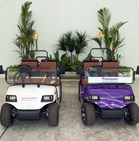 Buggy Services